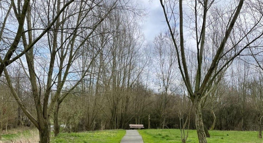 De eerste stap naar een herdenkingsbos is gezet